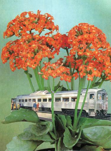 Original Dada Floral Collage by Maya Land