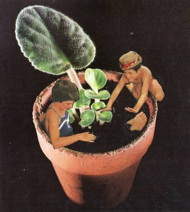 Original Dada Botanic Collage by Maya Land