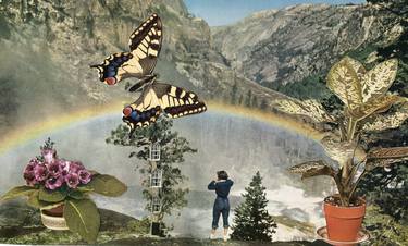 Original Dada Nature Collage by Maya Land