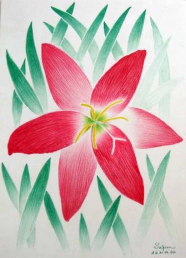 Print of Floral Drawings by Saipen Yindee
