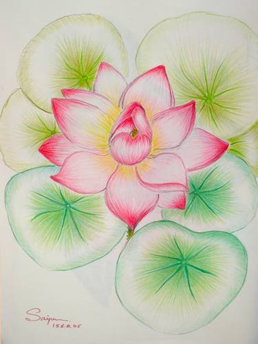 Print of Floral Drawings by Saipen Yindee