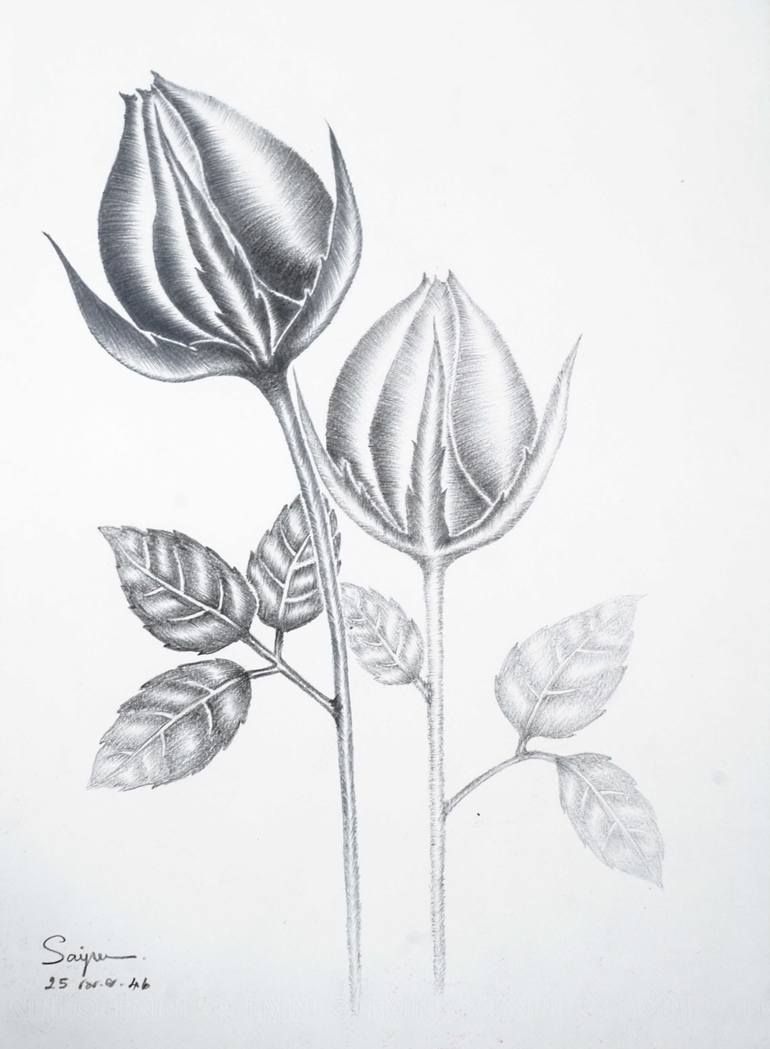 Black Roses Drawing By Saipen Yindee Saatchi Art
