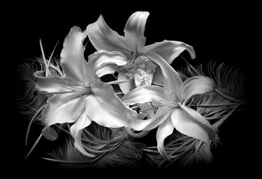 Print of Floral Photography by christine ruddy