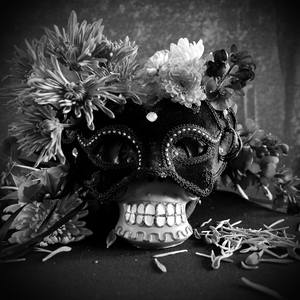 Collection Dia de los Muertos