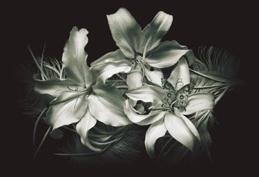 Lillies and Feathers - Limited Edition 2 of 25 thumb