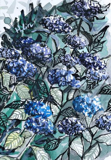 Kissed By The Sun- Hydrangea By HSIN LIN thumb