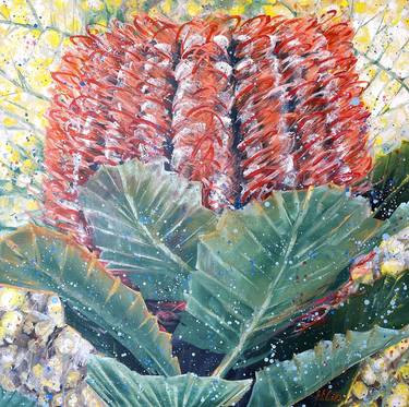 Outshine The Light - Scarlet Banksia and Wattle thumb