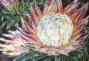 ONWARDS TO GLORY - SPRING PROTEA thumb