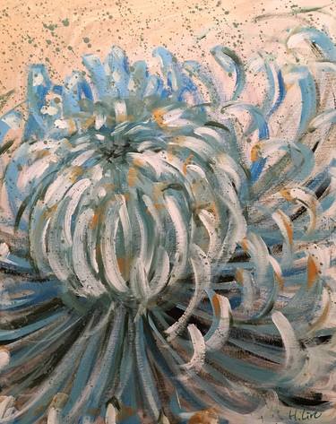 BLUE CHRYSANTHEMUM thumb