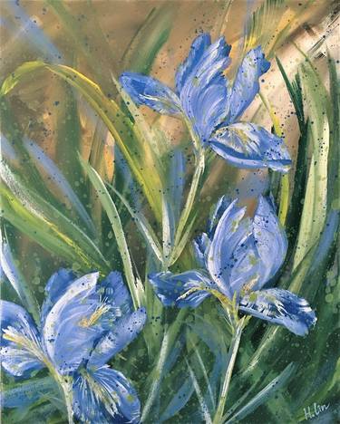 Dream Will Never Die – Blue Irises thumb