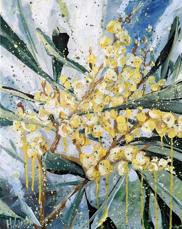 Sparkle and Shine - Golden Wattle (Acacia Pycnantha) thumb