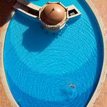 Copy of Birds Eye Swimmer by Nick Souza