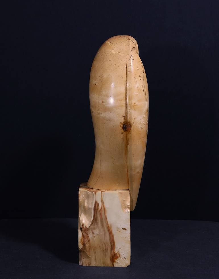 Original Abstract Animal Sculpture by Petro Teslya