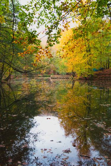 Original Nature Photography by Toghrul Hasanbeyli