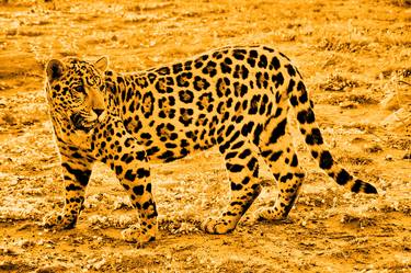 Saatchi Art Artist Barbara Fraatz; Photography, “Jaguar in gold 91268” #art