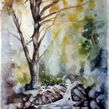 Over the Stream by Misty Lady