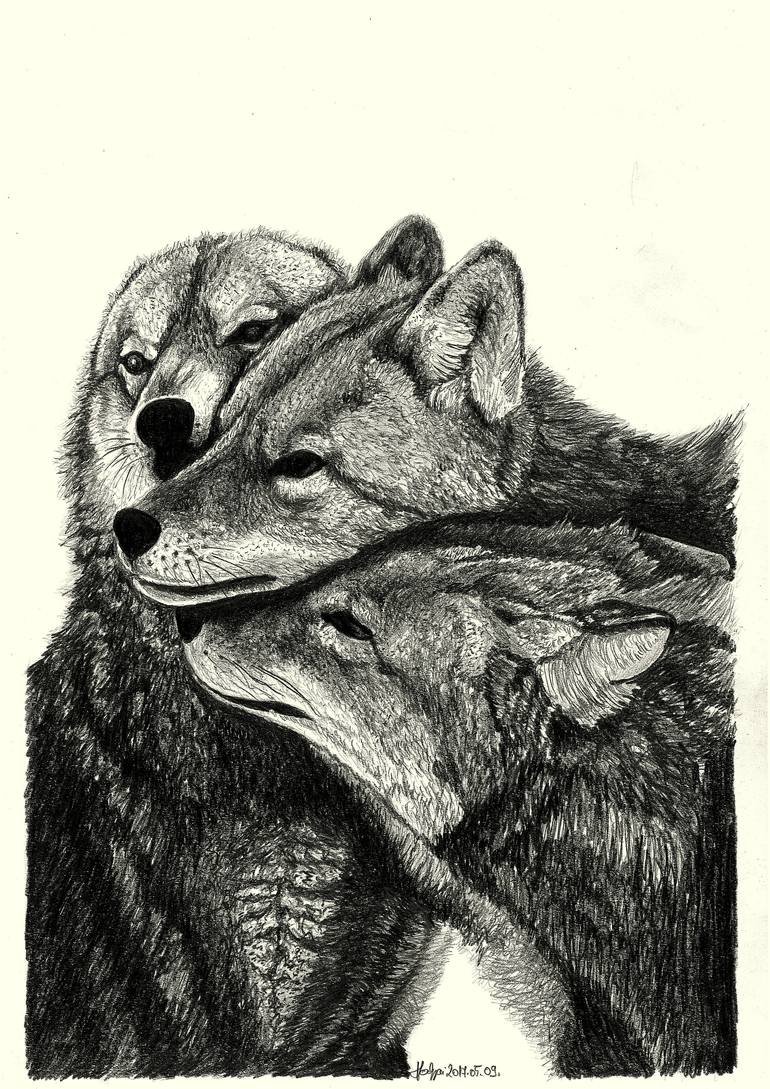 wolf love drawing