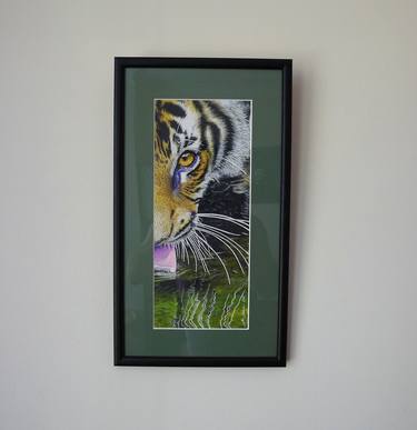 Thirsty Tiger - Colour pencil drawing thumb