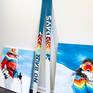 Skis shown with other artwork