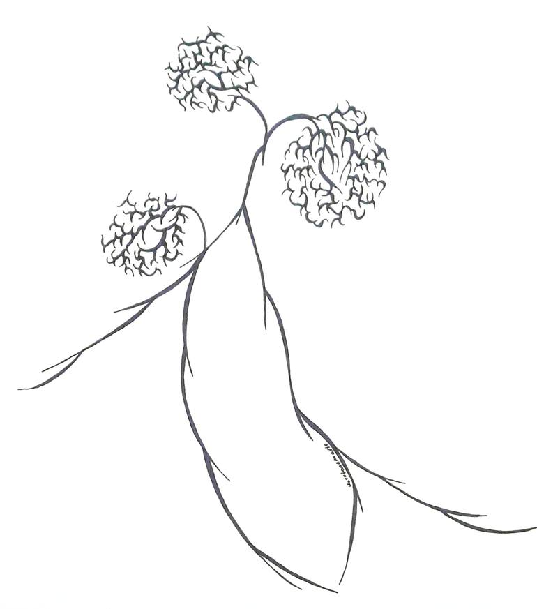mistletoe pencil drawing