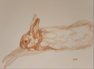 Original Contemporary Animal Drawing by Mersin Ulusoy Ozmete