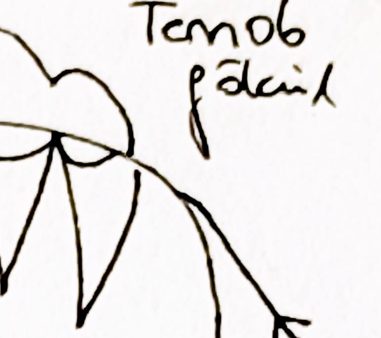 Original Minimalism Animal Drawing by Göknil Gümüş Sungurtekin