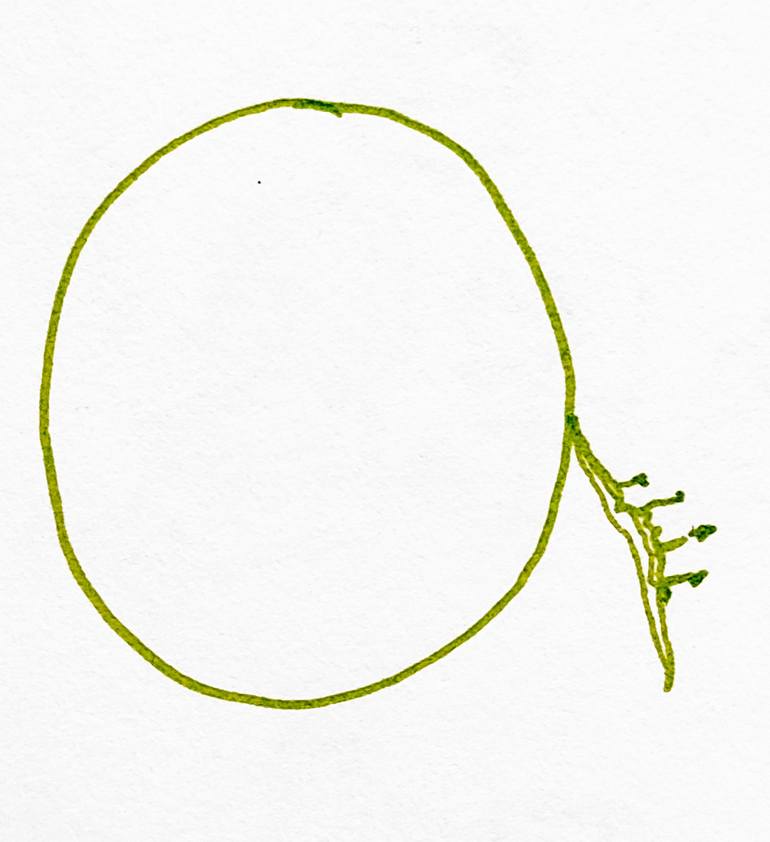 Original Minimalism Travel Drawing by Göknil Gümüş Sungurtekin