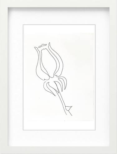 Original Symbolism Floral Drawings by Göknil Gümüş Sungurtekin