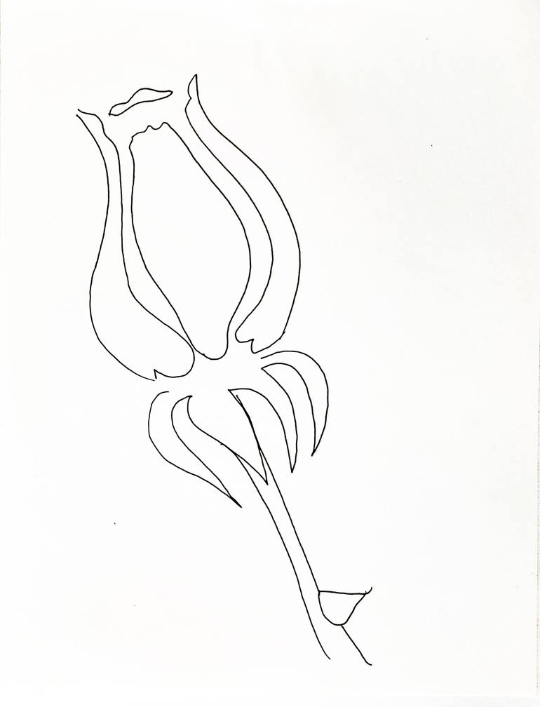 Original Symbolism Floral Drawing by Göknil Gümüş Sungurtekin