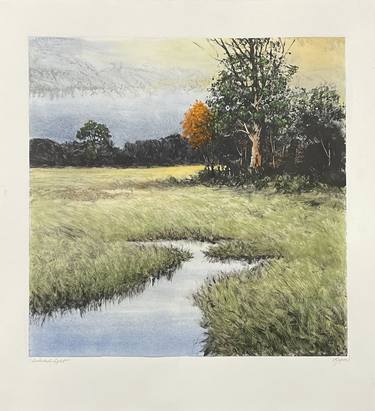 Original Fine Art Landscape Printmaking by DALE RAYBURN