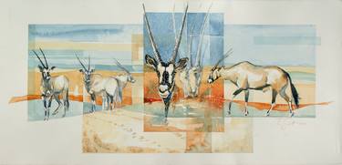 Oryx, Kalahari Desert thumb