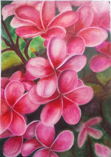 Original Floral Paintings by Smita Srivastav