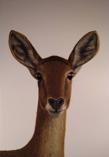 Print of Figurative Animal Paintings by Erik Flothmann