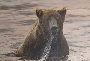 Grizzly bear fishing thumb