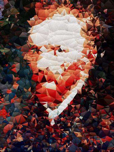 Original Abstract Portrait Digital by Dmitry O