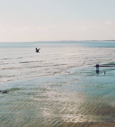 Original Abstract Nature Photography by Dmitry O