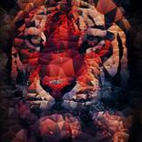 Low Poly Tiger Triangle Polygonal by Dmitry O