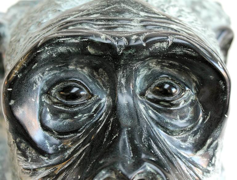 Original Figurative Animal Sculpture by Stef Van Den Heuvel