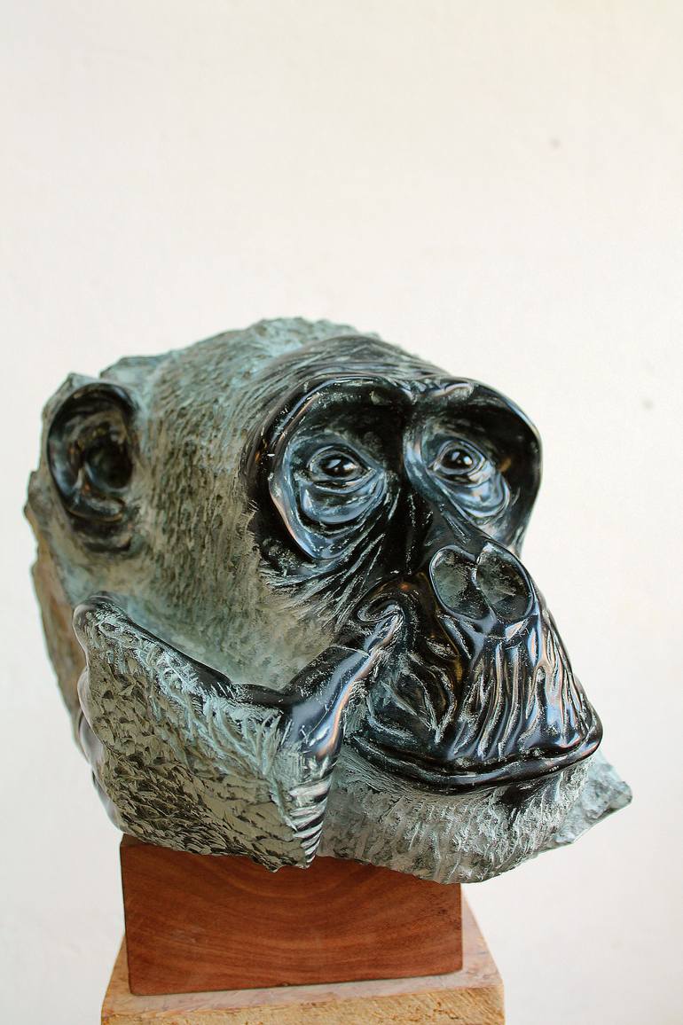 Original Figurative Animal Sculpture by Stef Van Den Heuvel