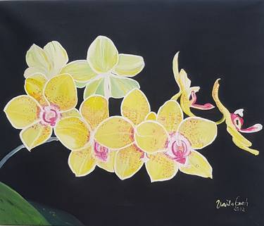 Original Documentary Floral Paintings by Ursula Gnech