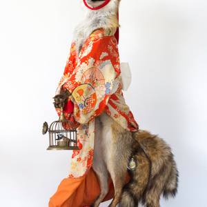 Kitsune Orenji