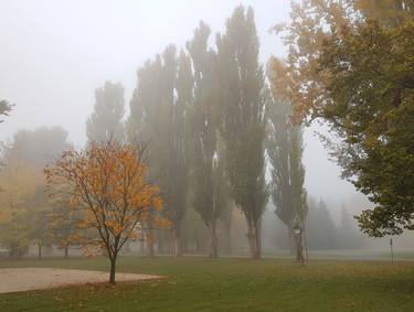 Autumn park at foggy morning thumb