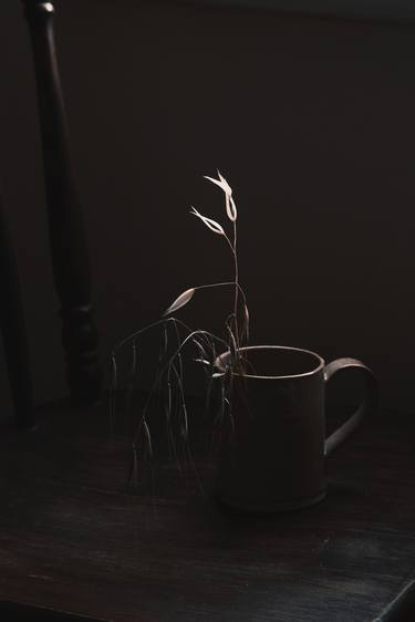 Print of Still Life Photography by Rita Kapitulski