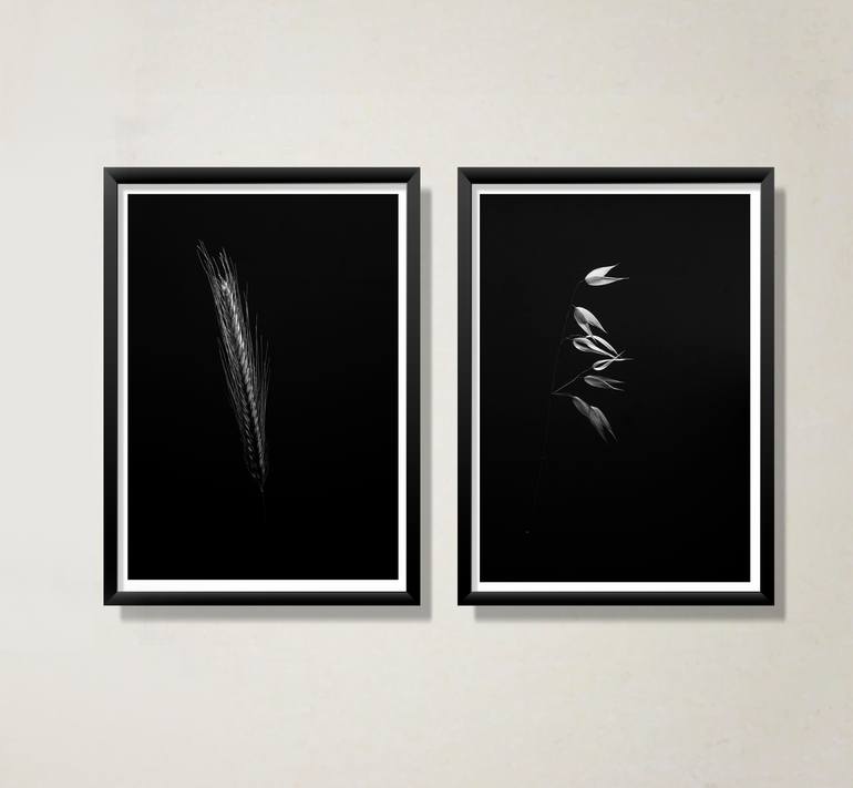 Original Abstract Botanic Photography by Rita Kapitulski
