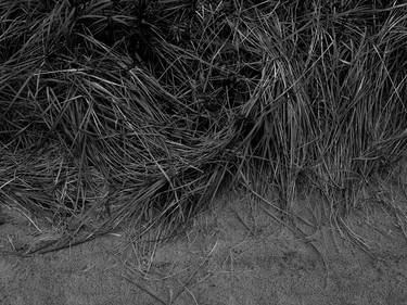 Saatchi Art Artist Gregory Reid; Photography, “MTK Beach Grass - Limited Edition of 5” #art