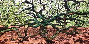 Angel Oak Tree thumb