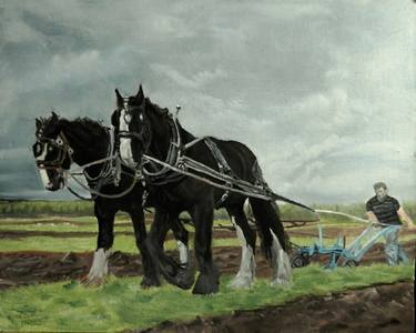 Original Fine Art Horse Paintings by Trevor Smith