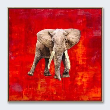 Elephant on Red thumb