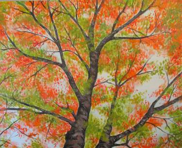 Original Fine Art Tree Paintings by Nancy Norman