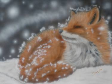 Original Animal Paintings by Sharen-Lee McLachlan